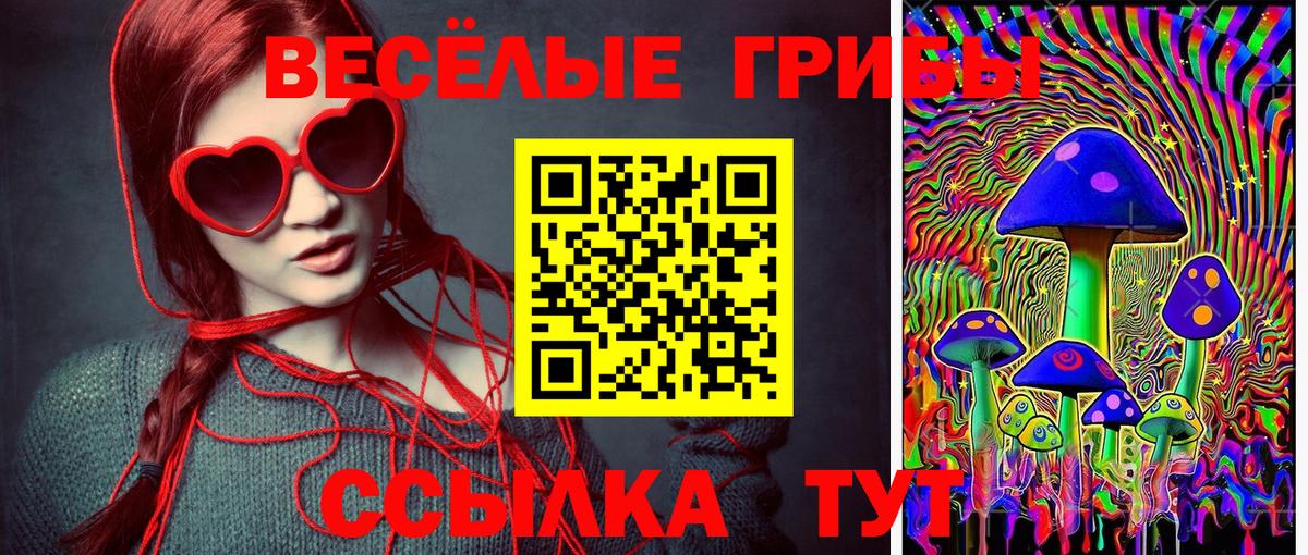 Псилоцибиновые грибы мицелий Казань